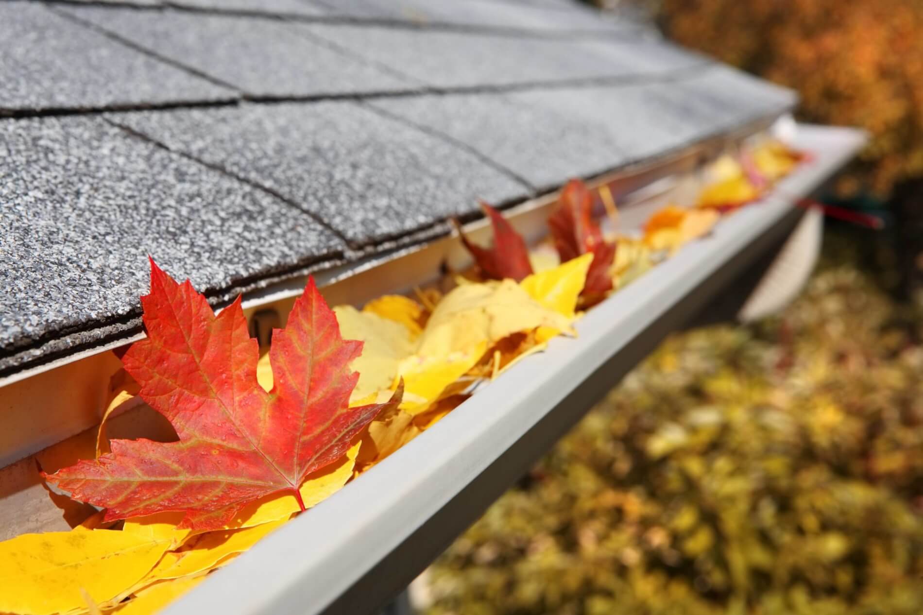 Unbe leaf able fall home maintenance tips!