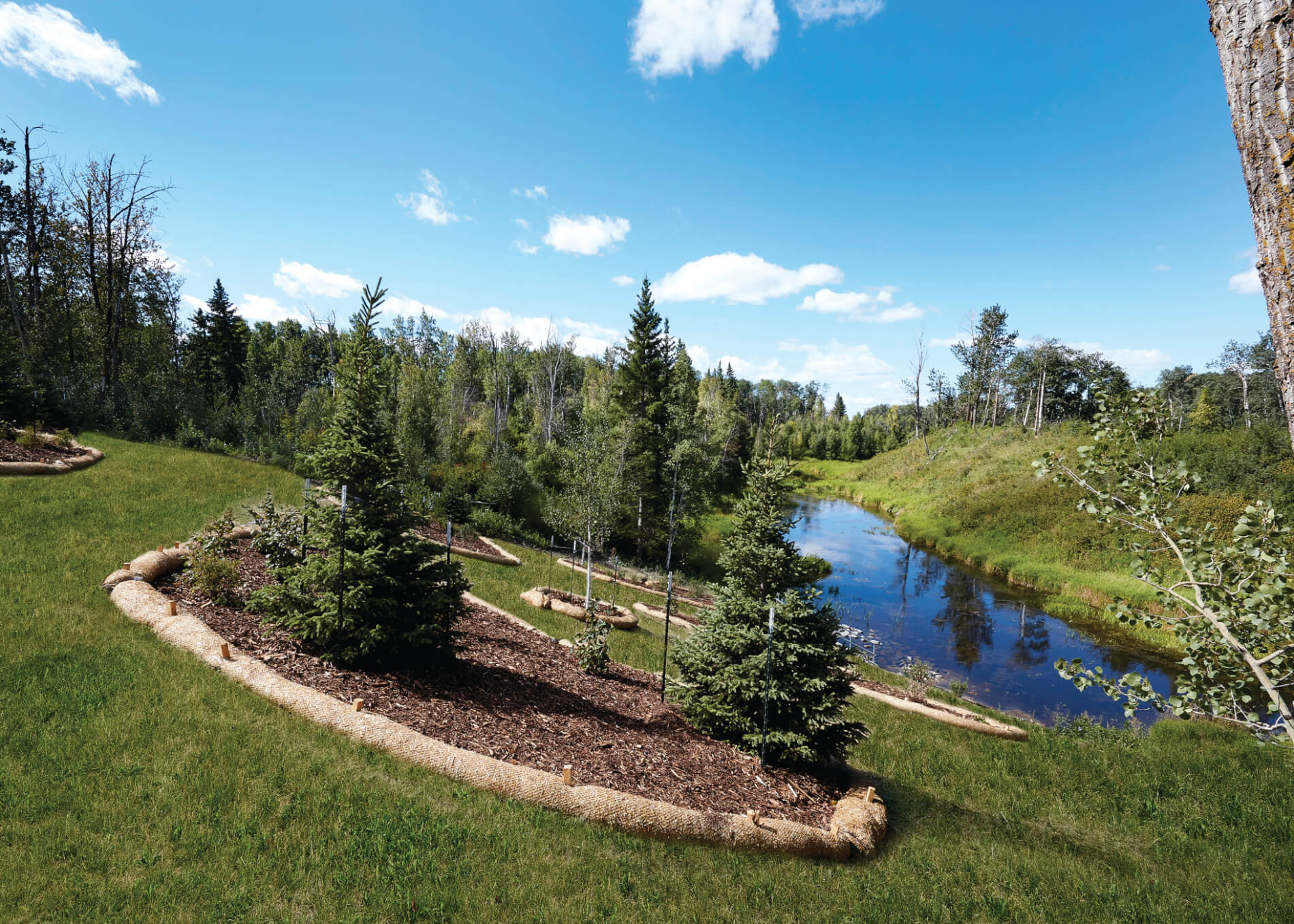 Uplands at Riverview trees and water feature