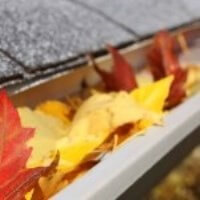 Unbe-leaf-able fall home maintenance tips!