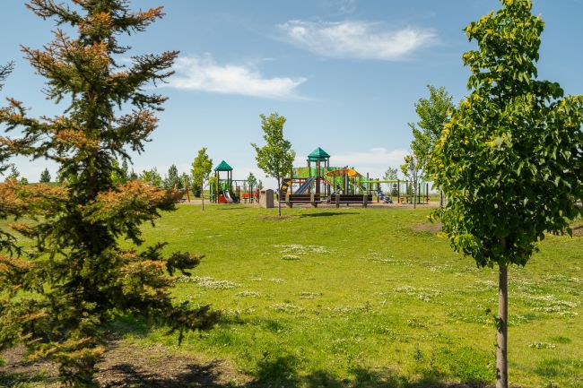 Mattson Community Photos 63 ra9gn31sxe4wm0vb7d9ov7spkddj71czhfj9n2i82y